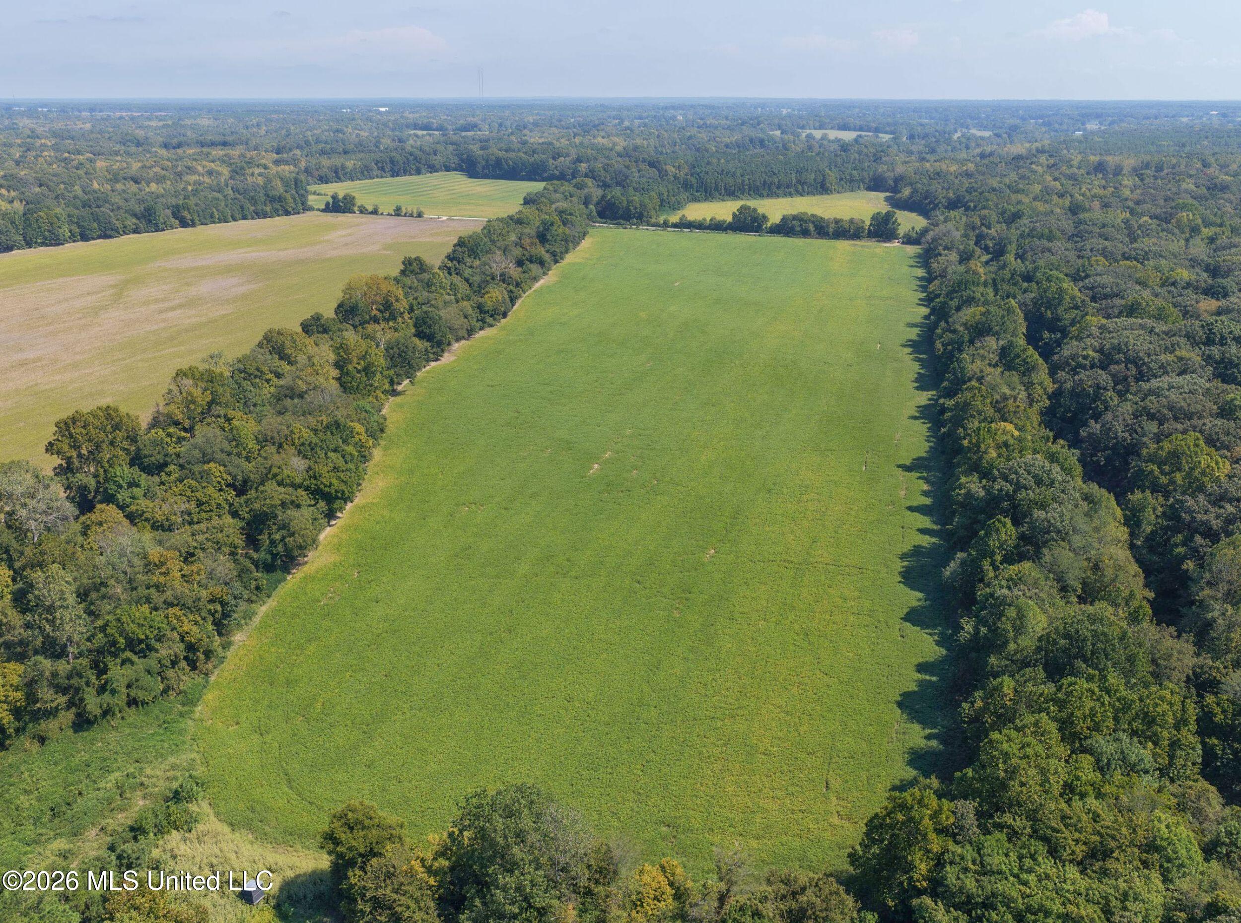 48 Ac Old Panola Property Photo 27