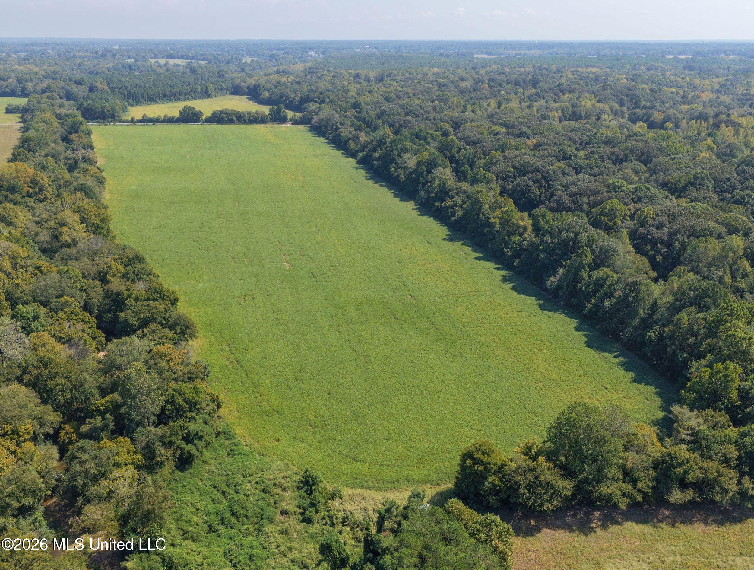 48 Ac Old Panola Property Photo 29