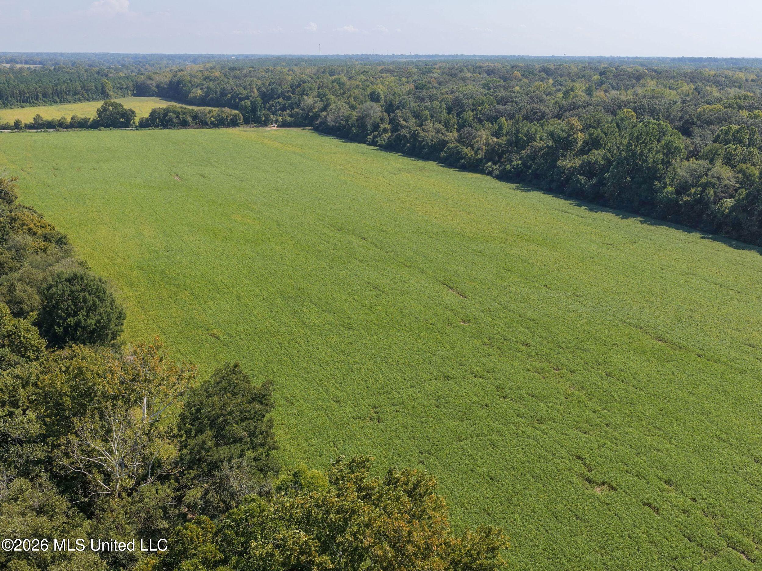 48 Ac Old Panola Property Photo 30