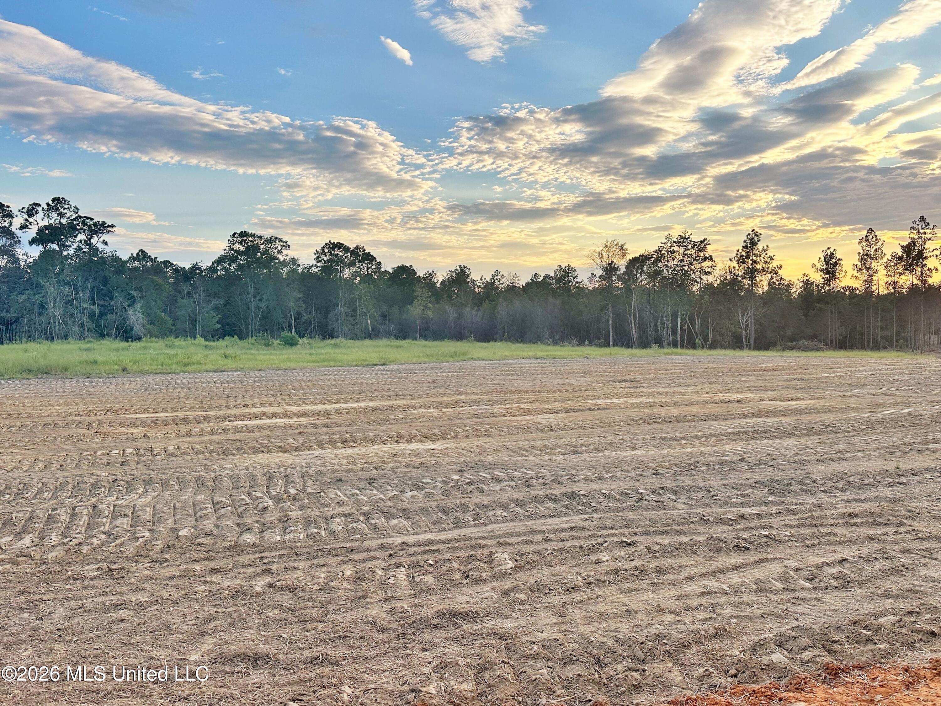Lot 12 Little Cedar Road Property Photo 1