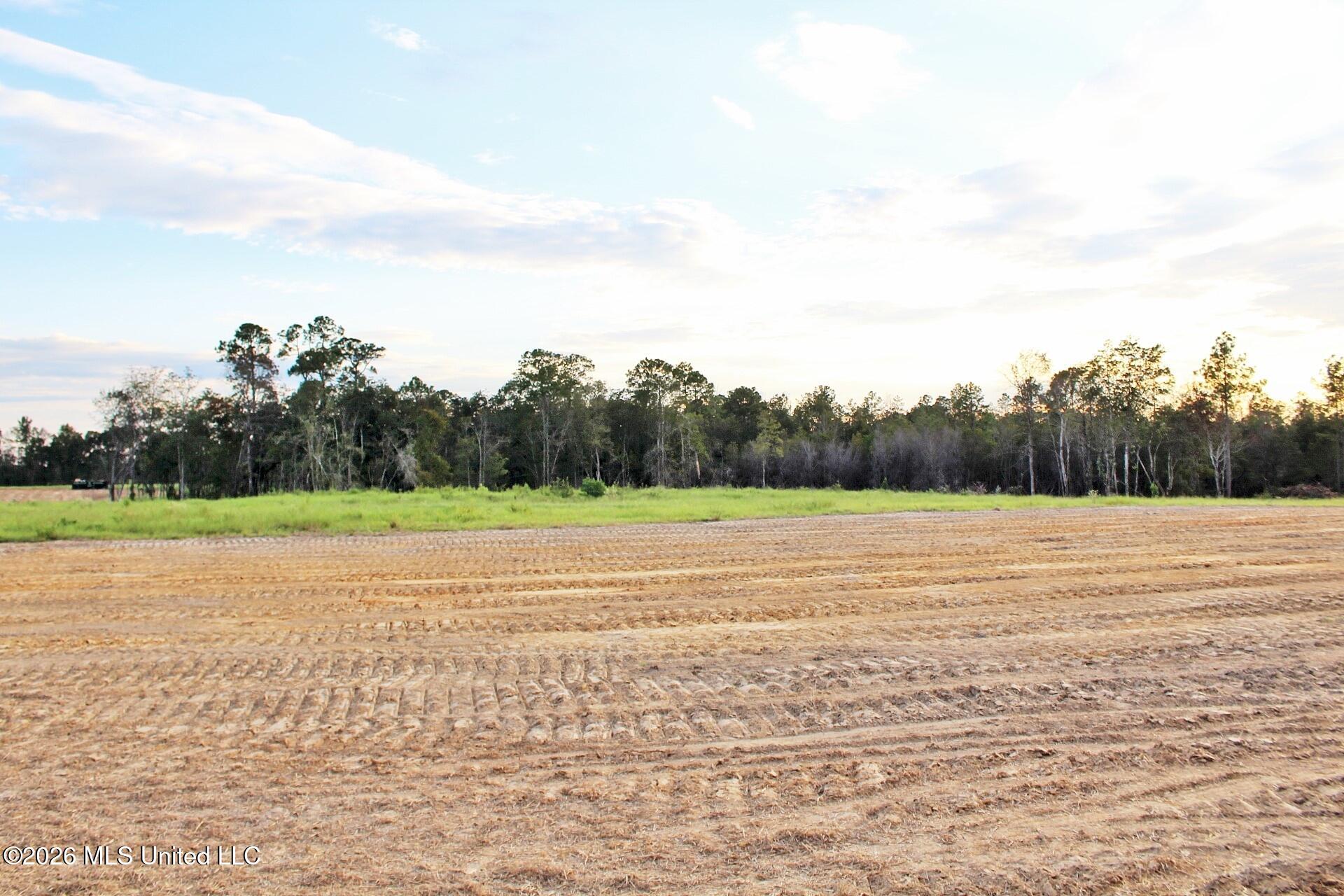 Lot 12 Little Cedar Road Property Photo 5