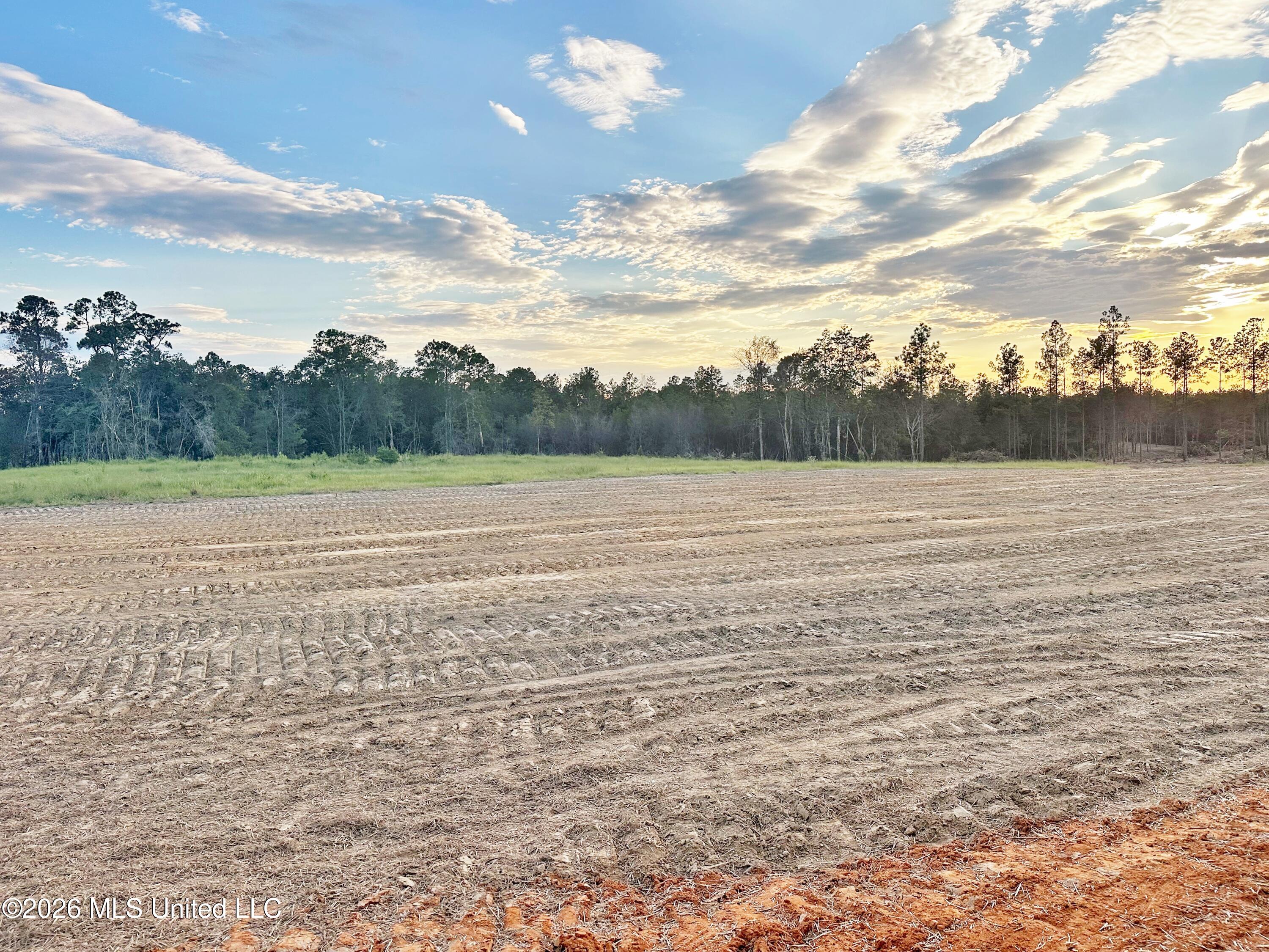 Lot 12 Little Cedar Road Property Photo 7