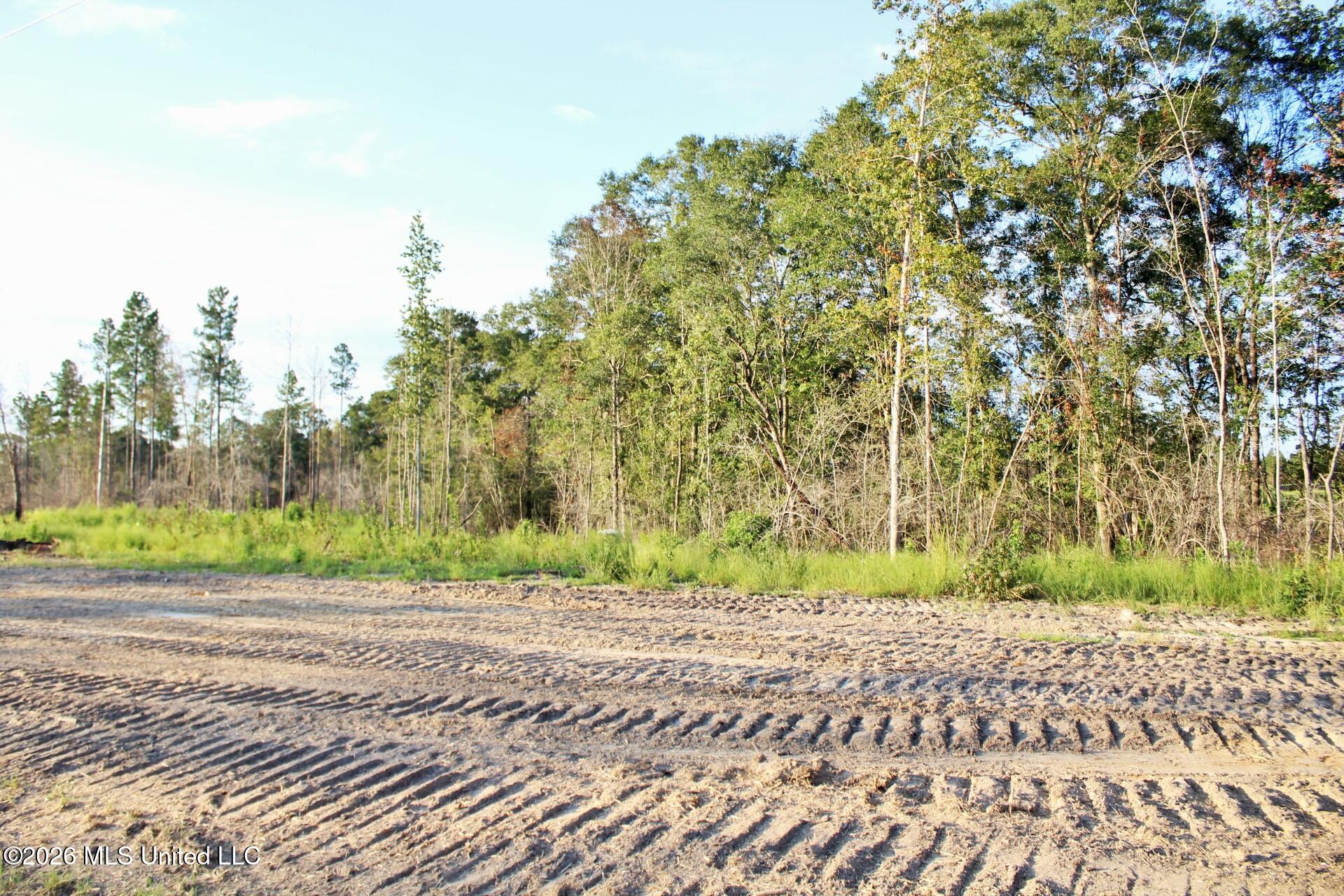 Lot 8 Cottonwood Drive Property Photo 1