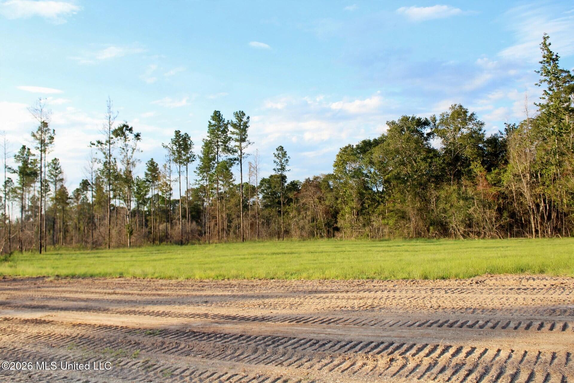 Lot 8 Cottonwood Drive Property Photo 5