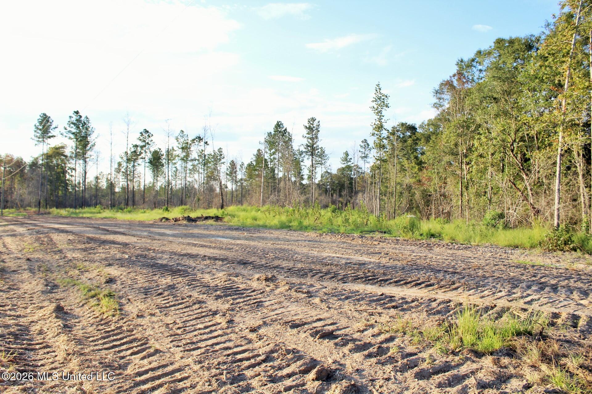 Lot 8 Cottonwood Drive Property Photo 6