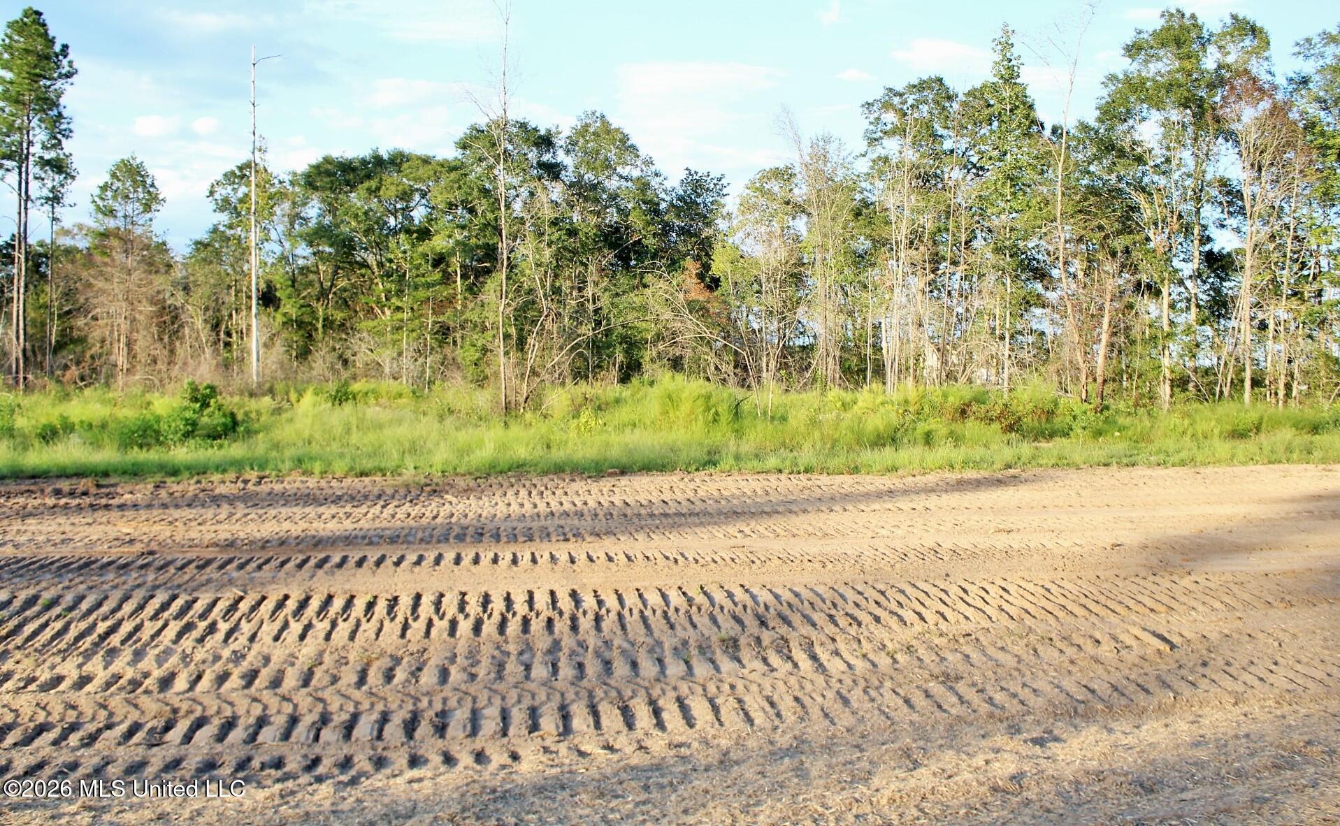 Lot 8 Cottonwood Drive Property Photo 8
