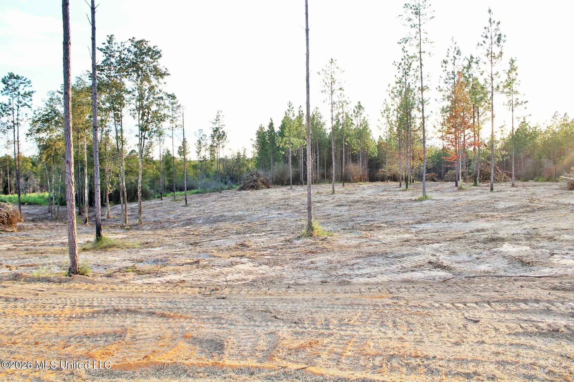 Lot 18 Little Cedar Road Property Photo 1