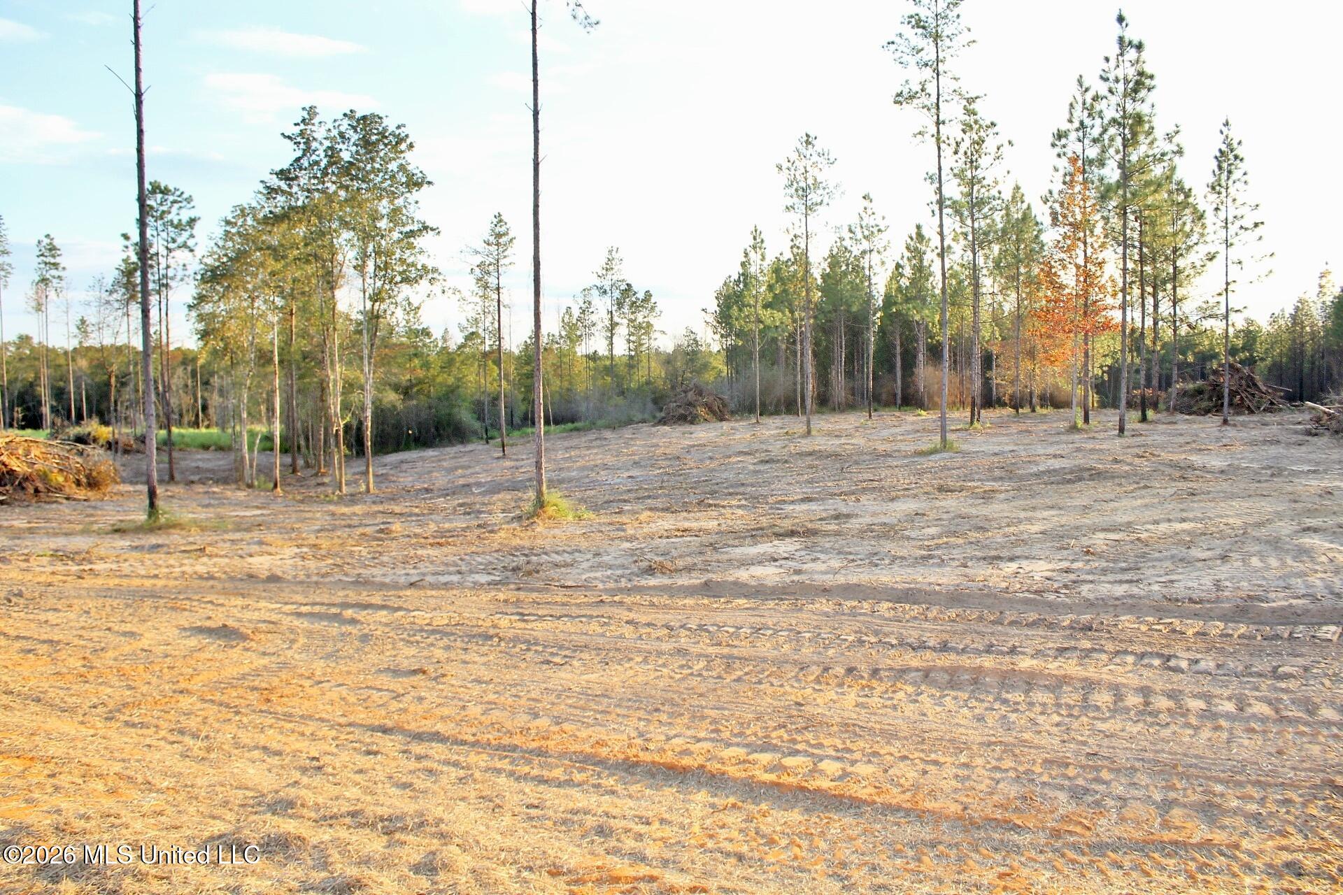 Lot 18 Little Cedar Road Property Photo 5