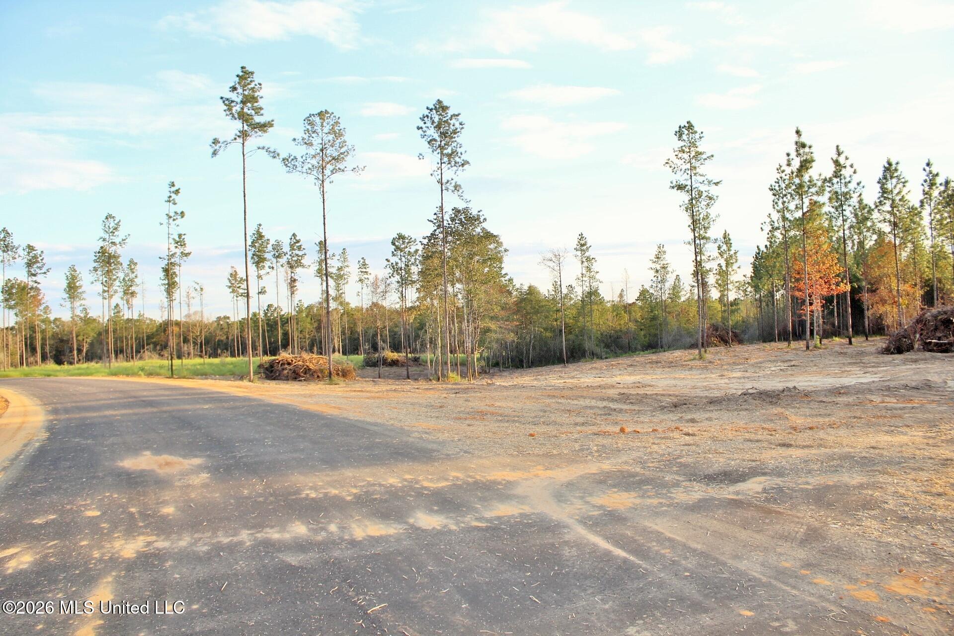 Lot 18 Little Cedar Road Property Photo 6