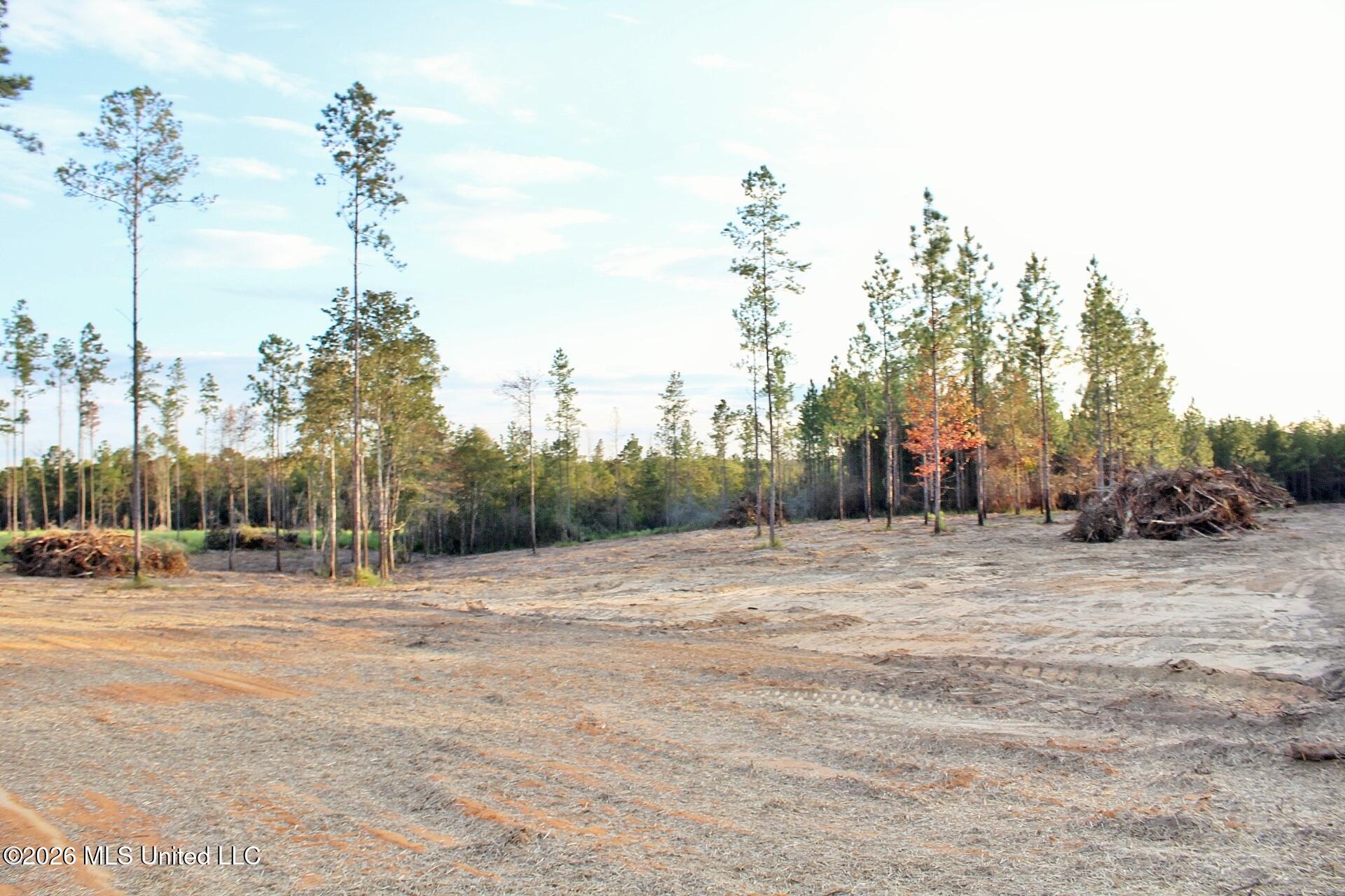 Lot 18 Little Cedar Road Property Photo 7