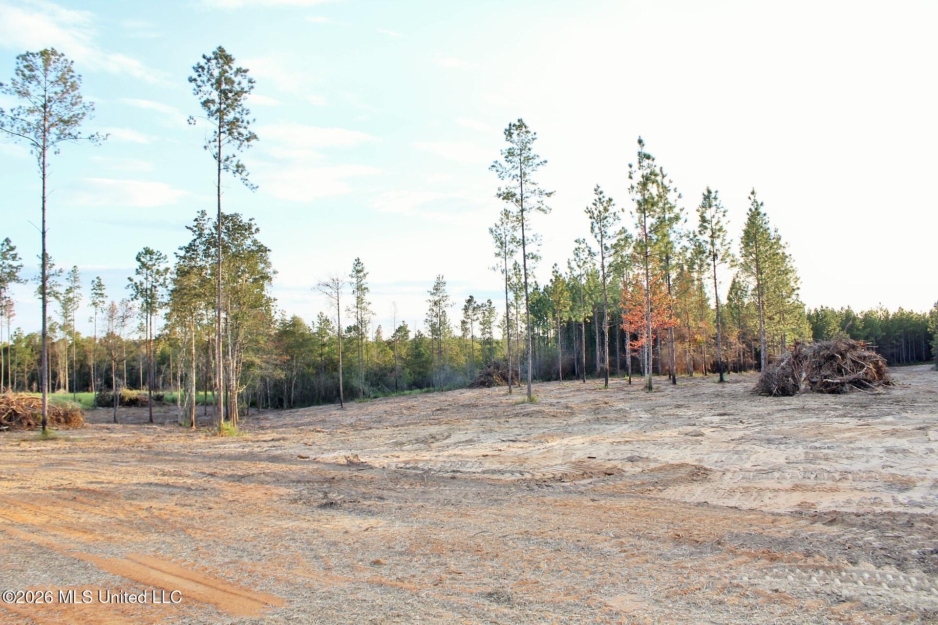 Lot 18 Little Cedar Road Property Photo 8