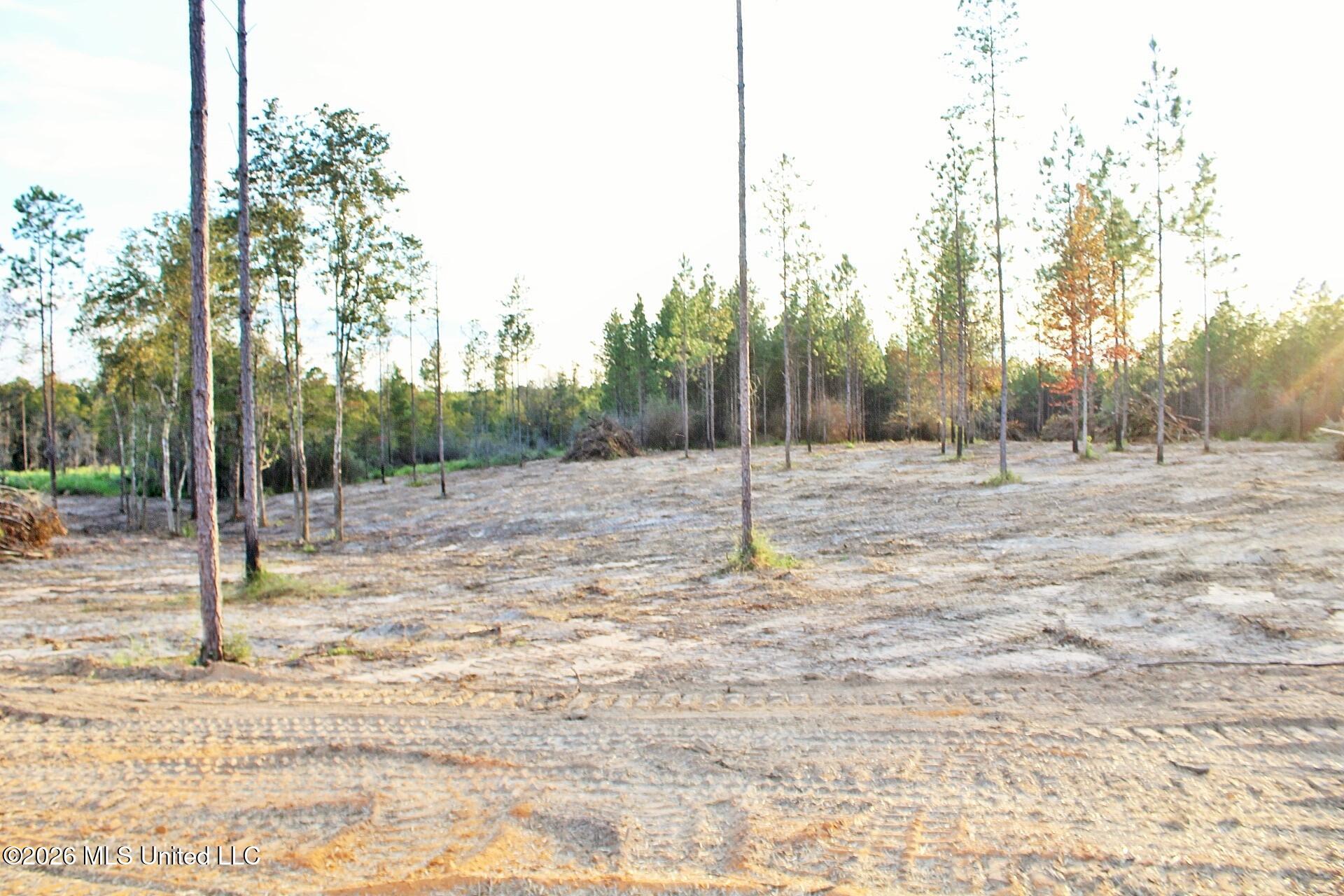 Lot 18 Little Cedar Road Property Photo 9