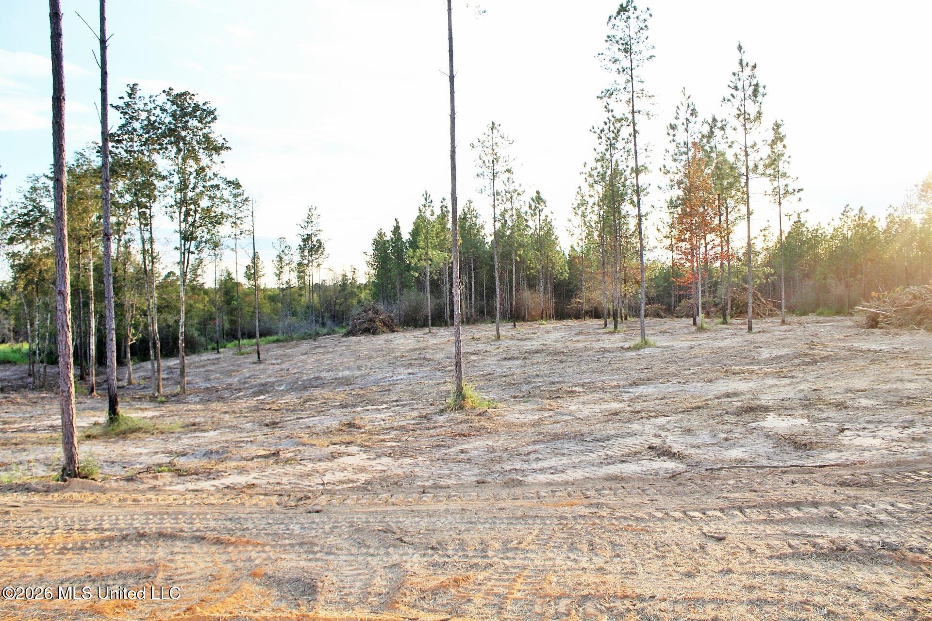 Lot 18 Little Cedar Road Property Photo 10