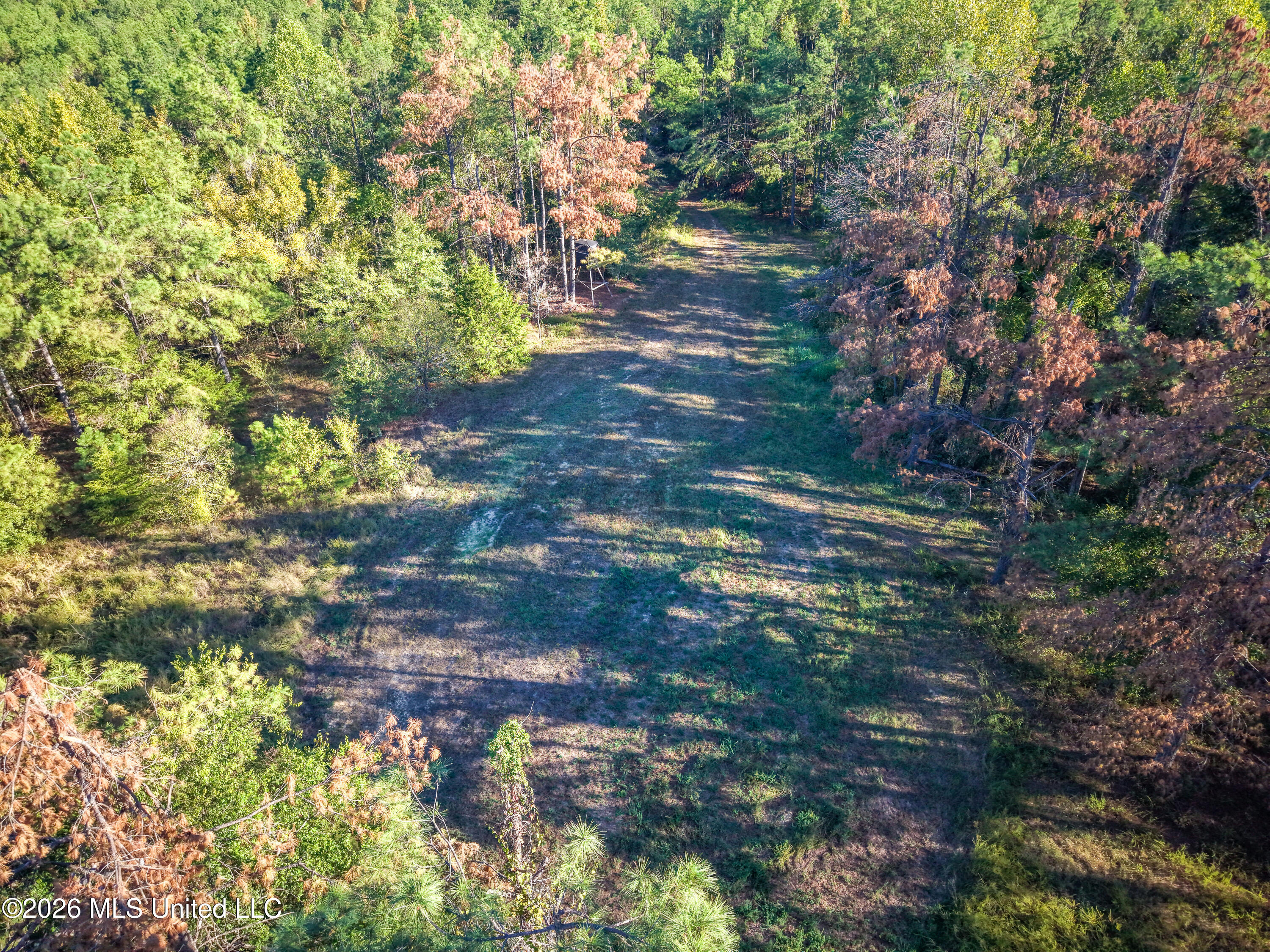 2000 Deer Creek Road Property Photo 11