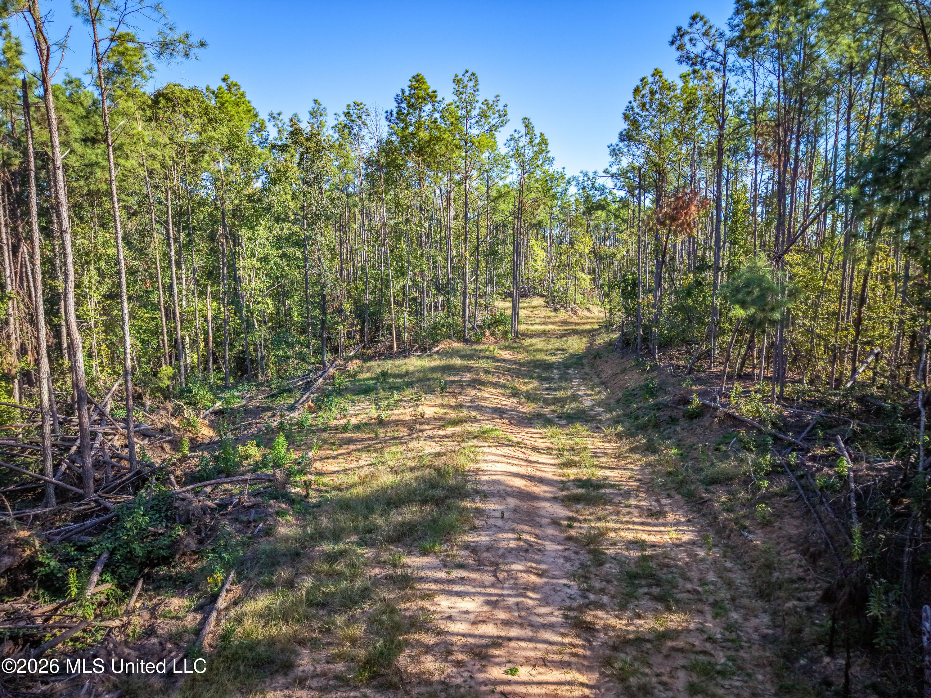 2000 Deer Creek Road Property Photo 15