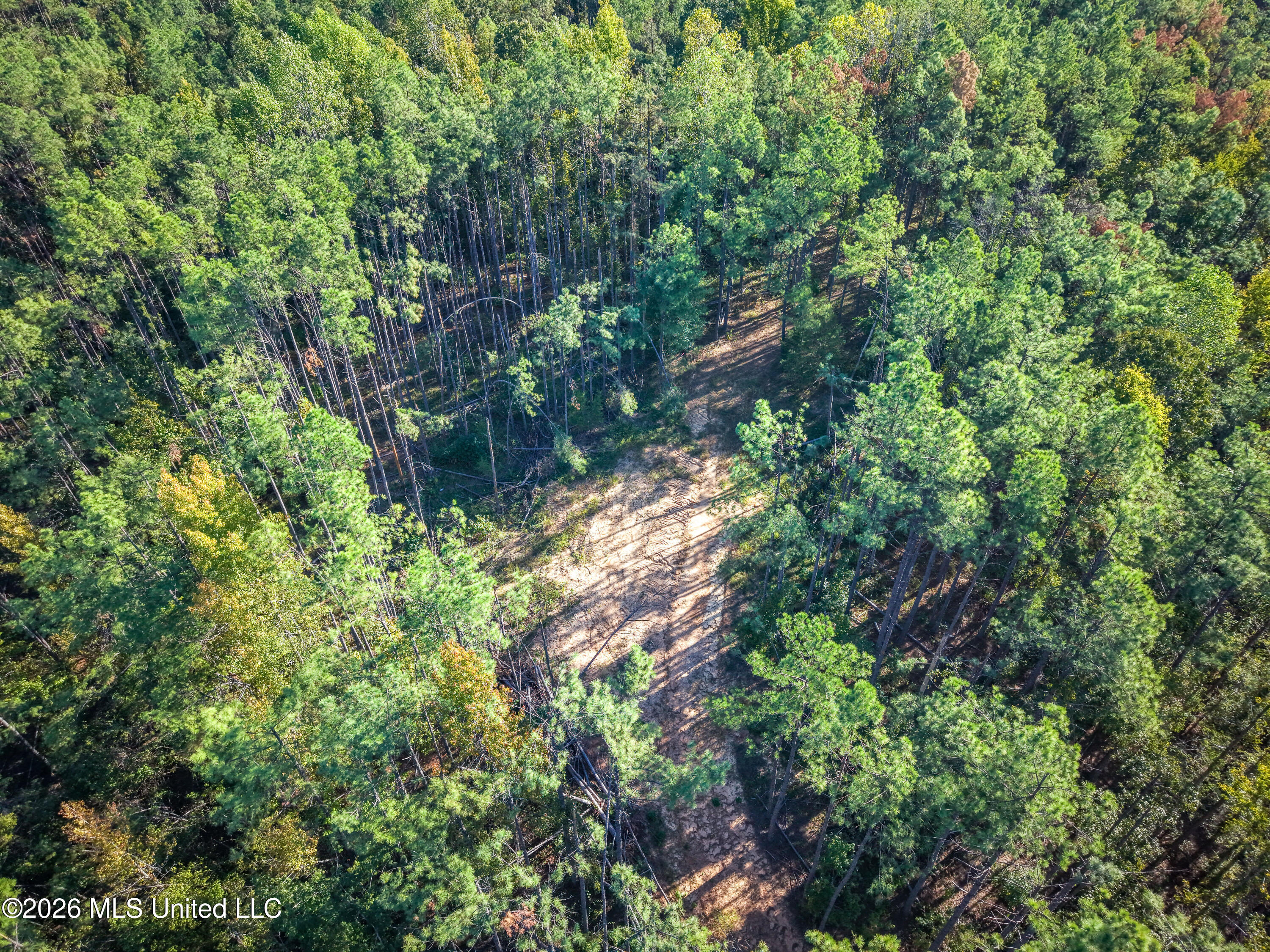 2000 Deer Creek Road Property Photo 17