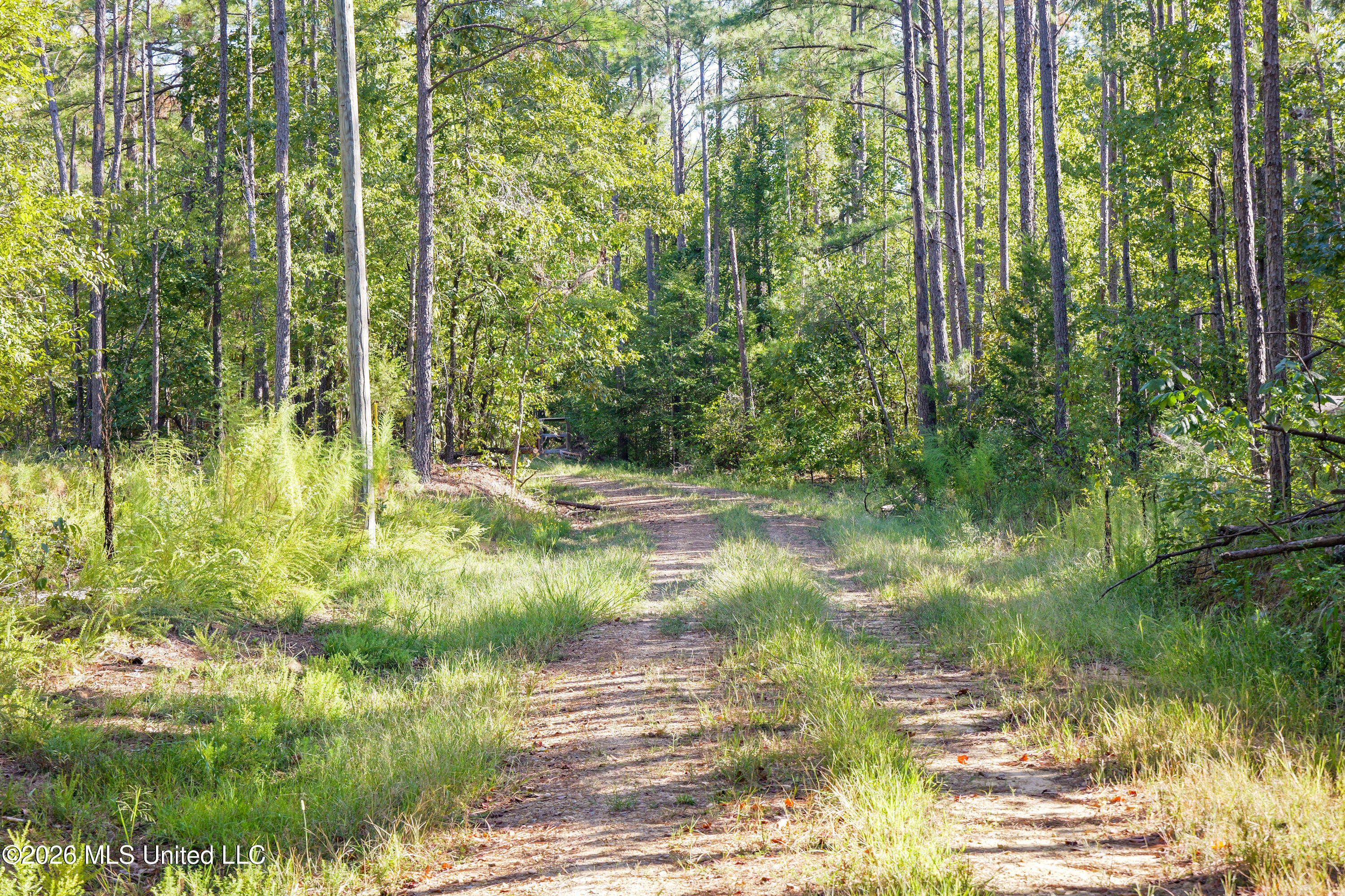 2000 Deer Creek Road Property Photo 40