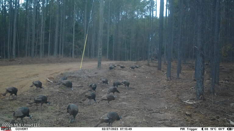 2000 Deer Creek Road Property Photo 55