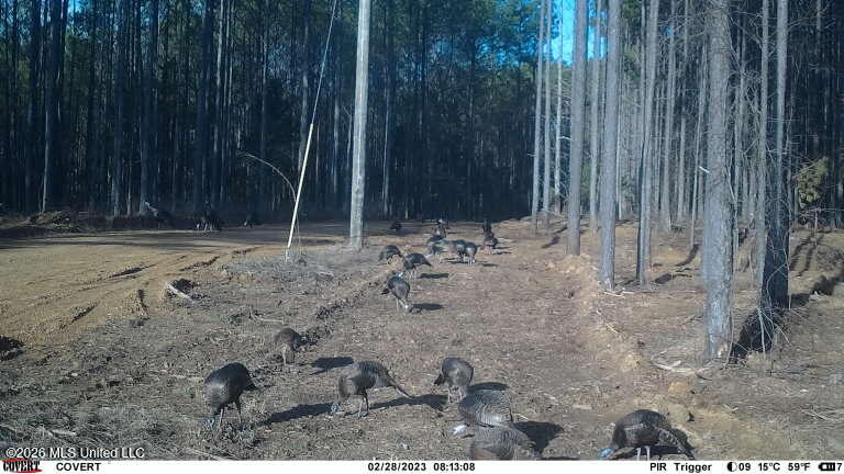2000 Deer Creek Road Property Photo 56