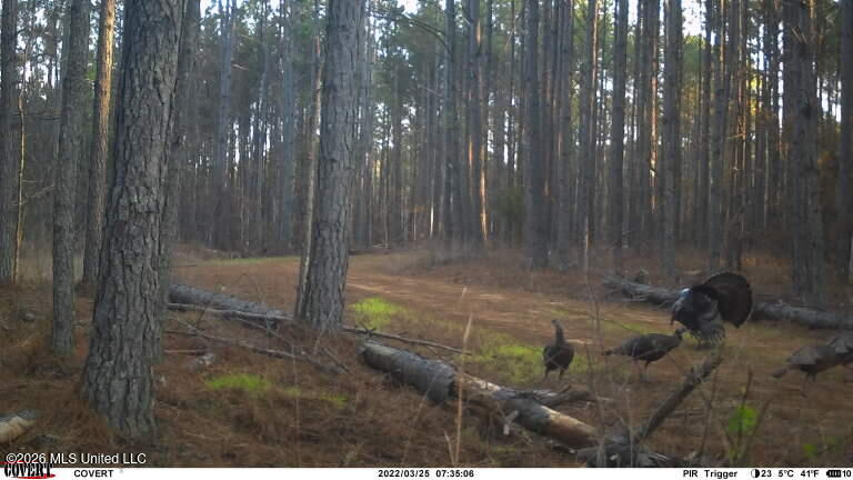 2000 Deer Creek Road Property Photo 57