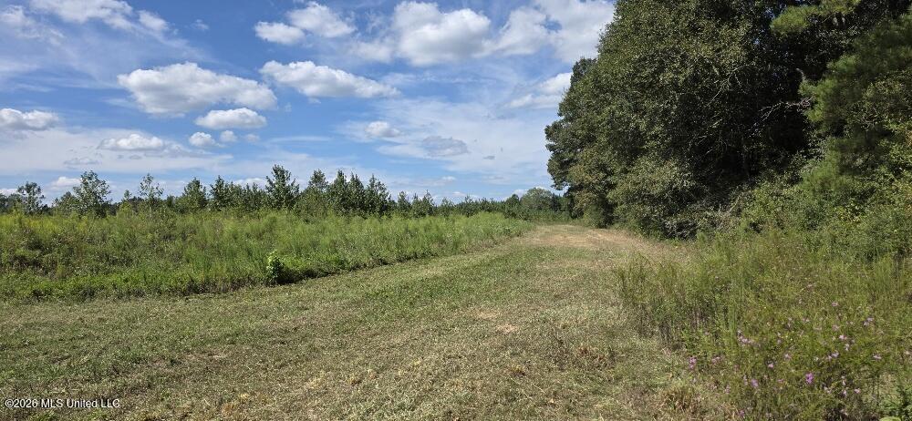 1107 Charlie Rhodus Road Property Photo 2