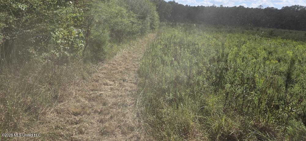 1107 Charlie Rhodus Road Property Photo 4