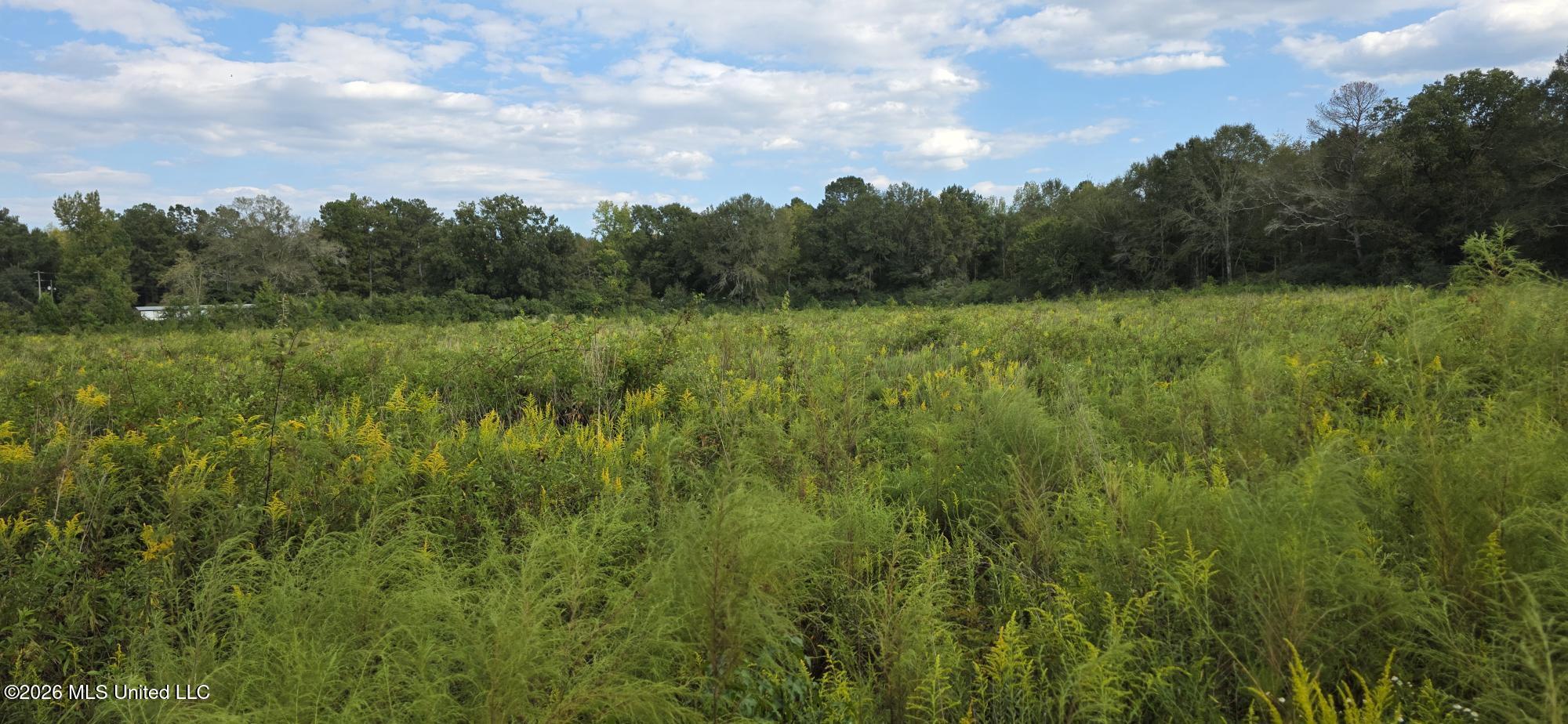 1107 Charlie Rhodus Road Property Photo 5