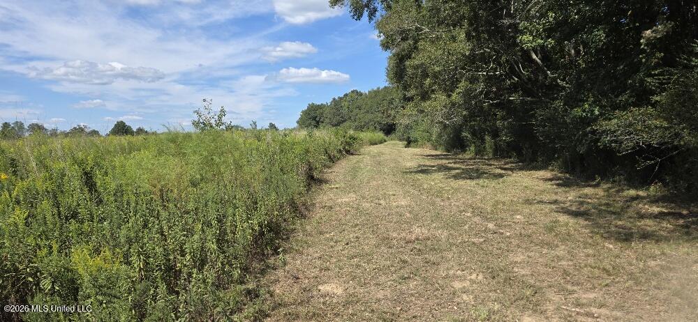 1107 Charlie Rhodus Road Property Photo 6