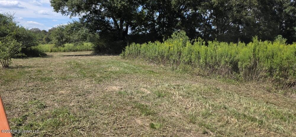 1107 Charlie Rhodus Road Property Photo 10