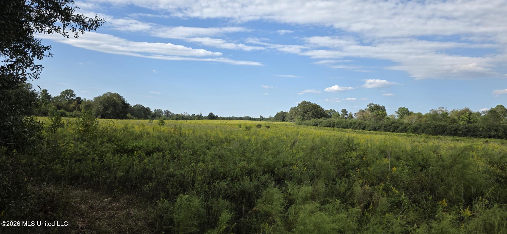 1107 Charlie Rhodus Road Property Photo 11