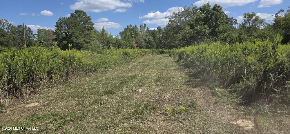 1107 Charlie Rhodus Road Property Photo 12