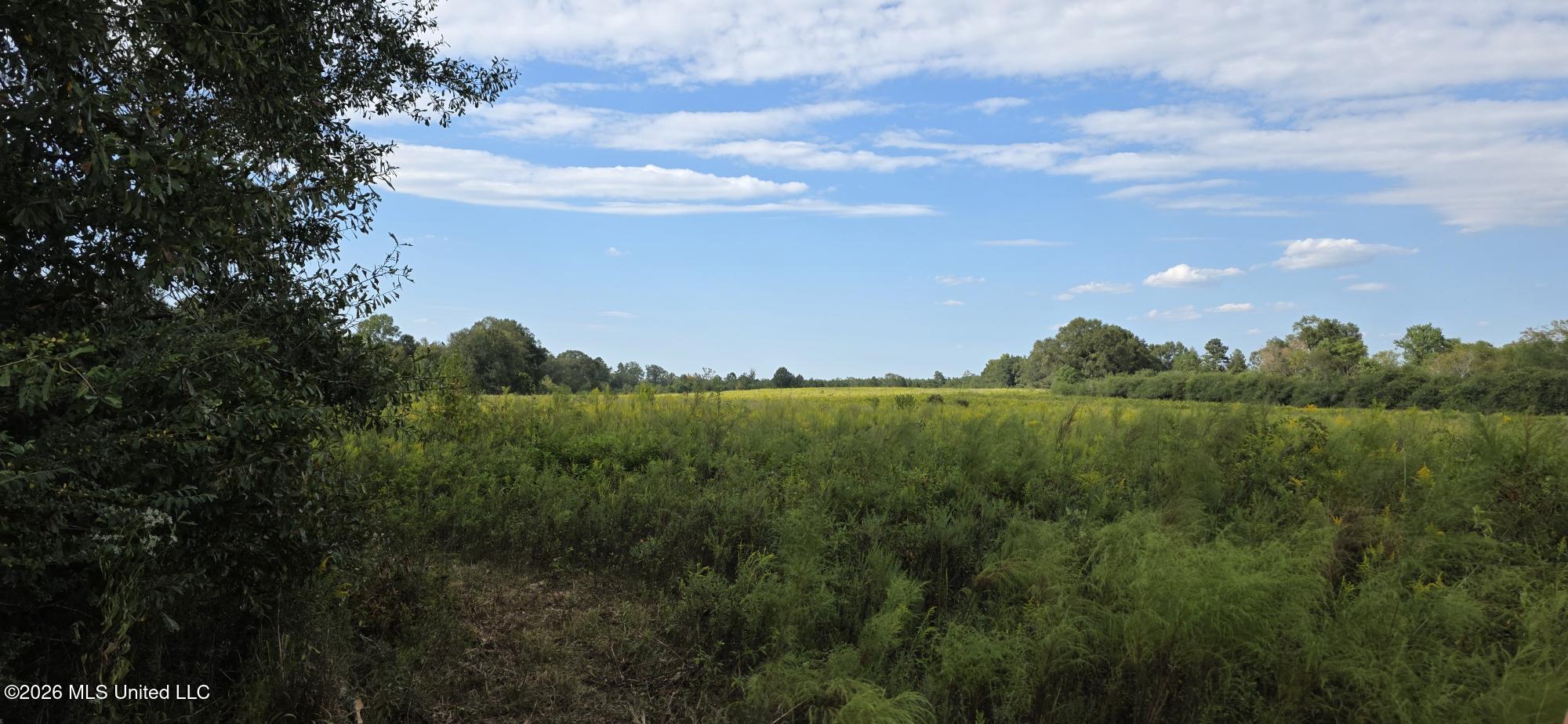 1107 Charlie Rhodus Road Property Photo 13