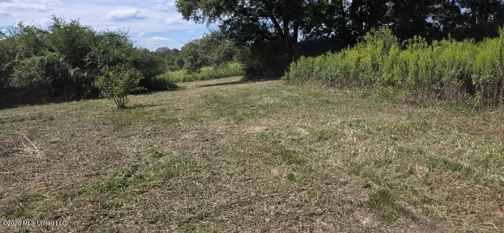 1107 Charlie Rhodus Road Property Photo 15