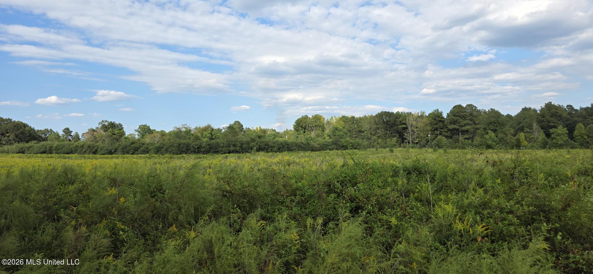 1107 Charlie Rhodus Road Property Photo 16