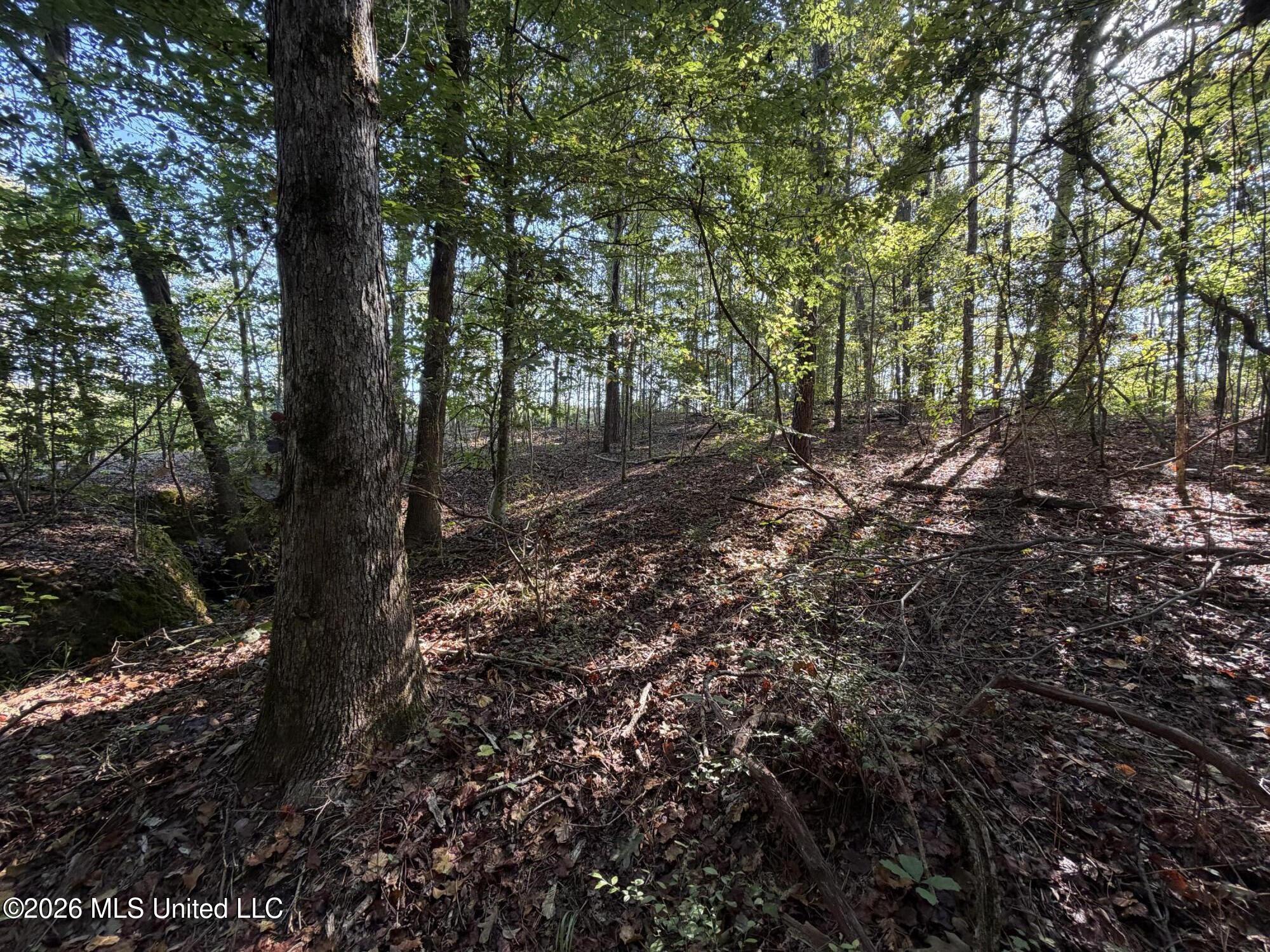Cauthen Road Property Photo 2