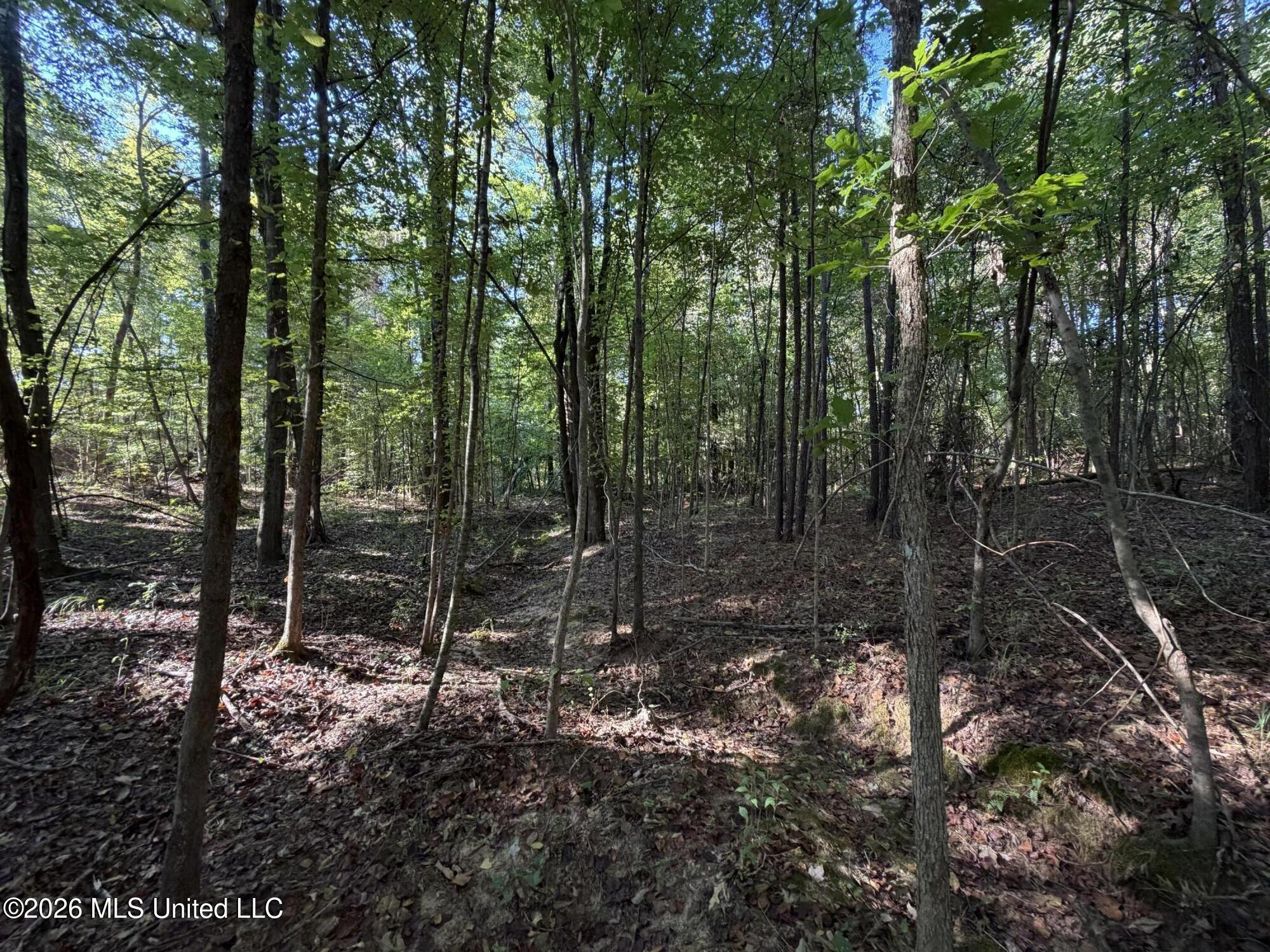 Cauthen Road Property Photo 3