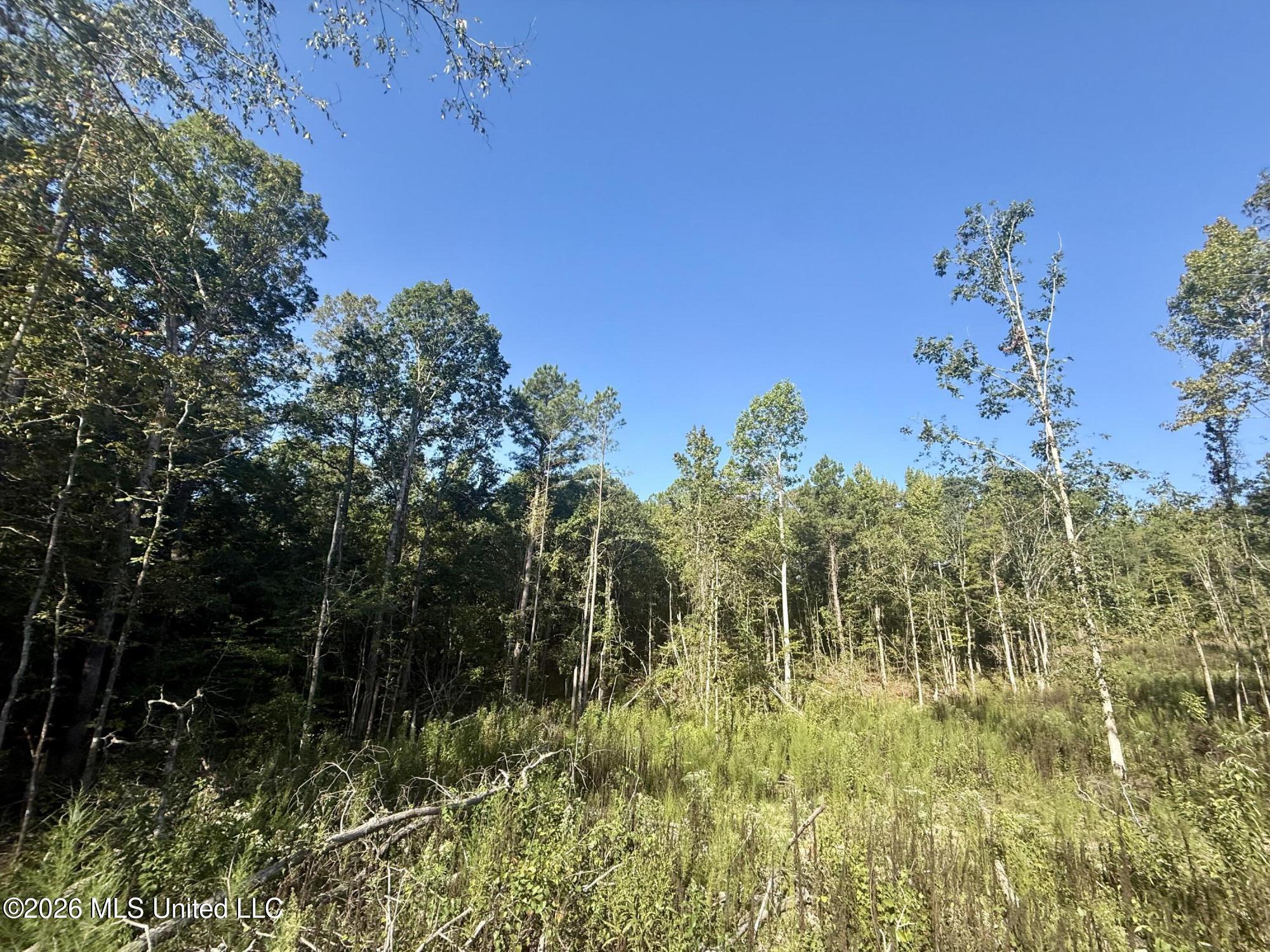 Cauthen Road Property Photo 4