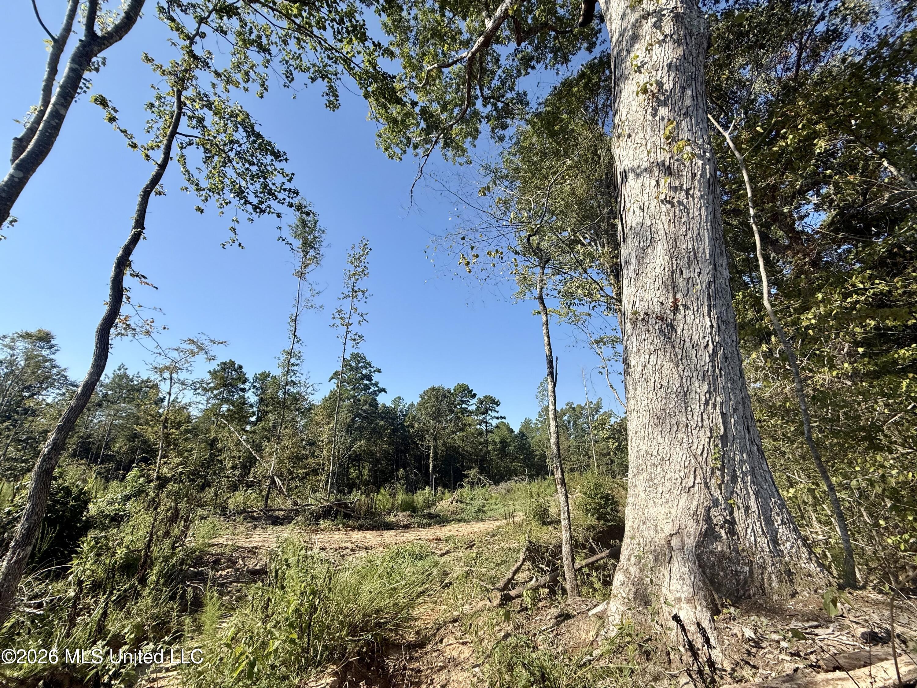 Cauthen Road Property Photo 5