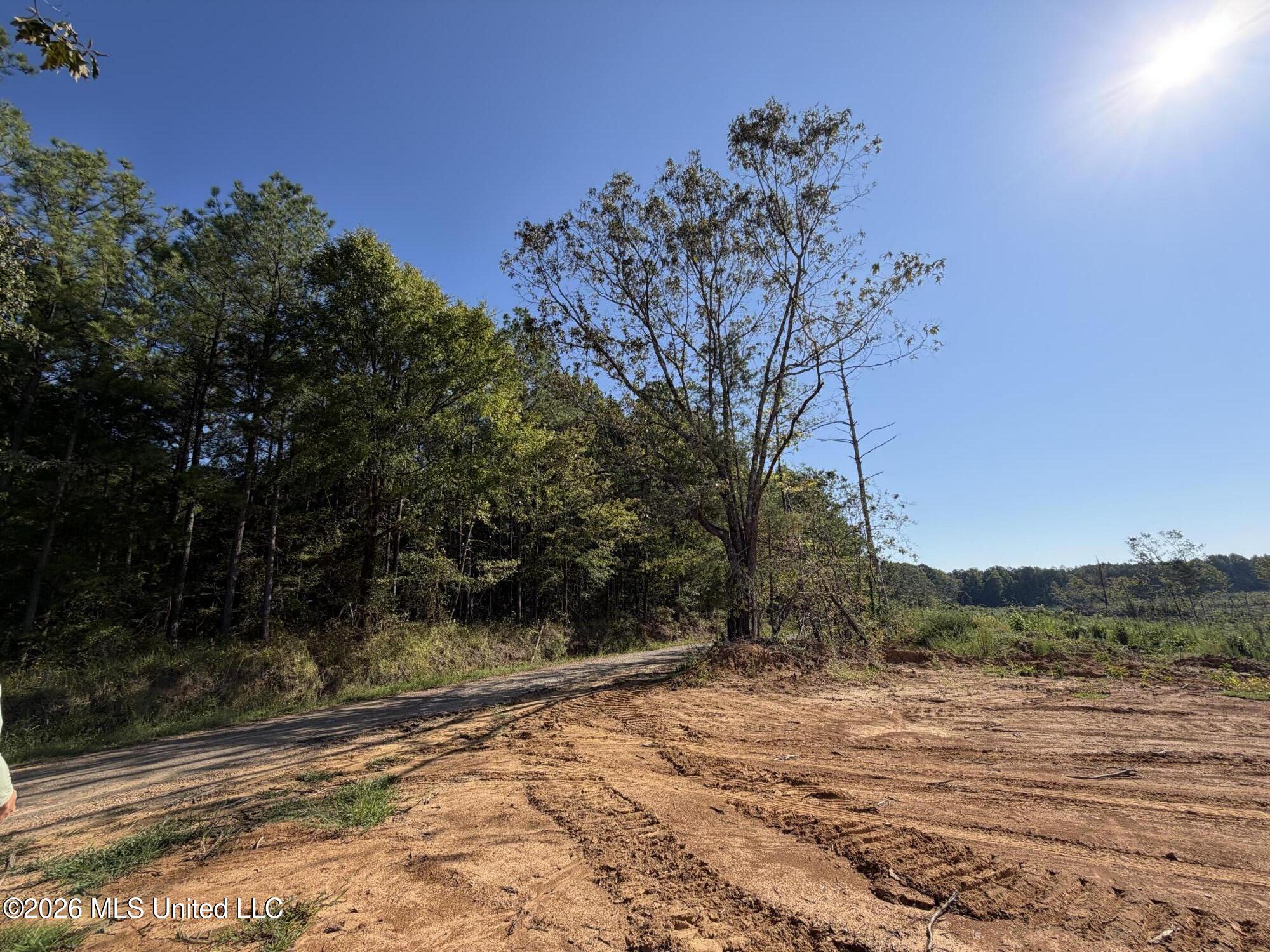 Cauthen Road Property Photo 8