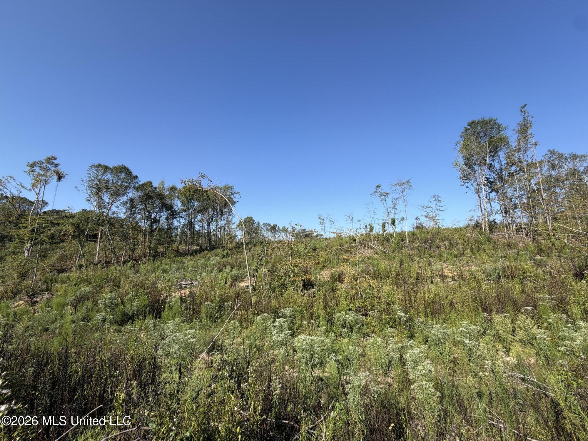 Cauthen Road Property Photo 10
