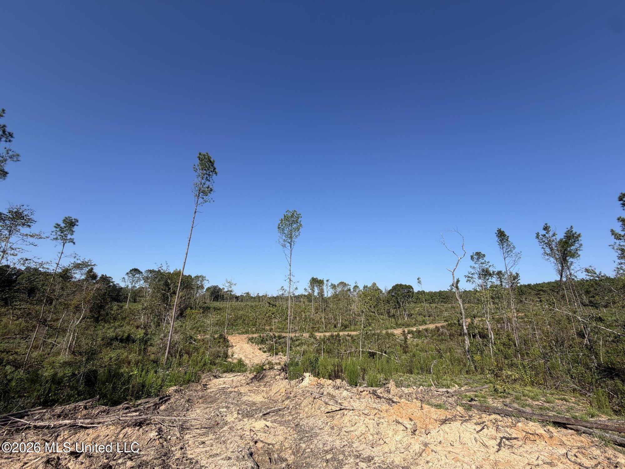 Cauthen Road Property Photo 13