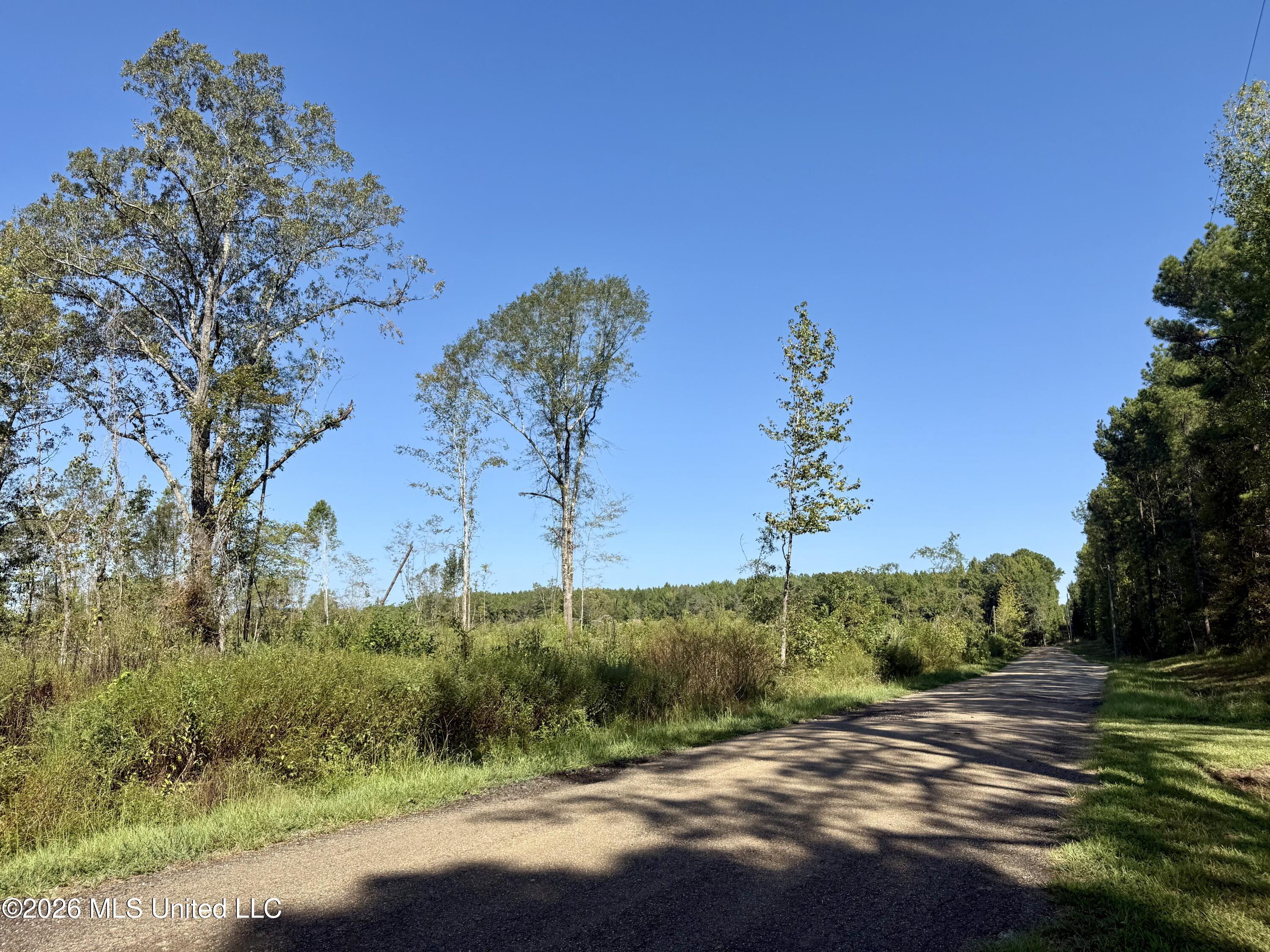 Cauthen Road Property Photo 14