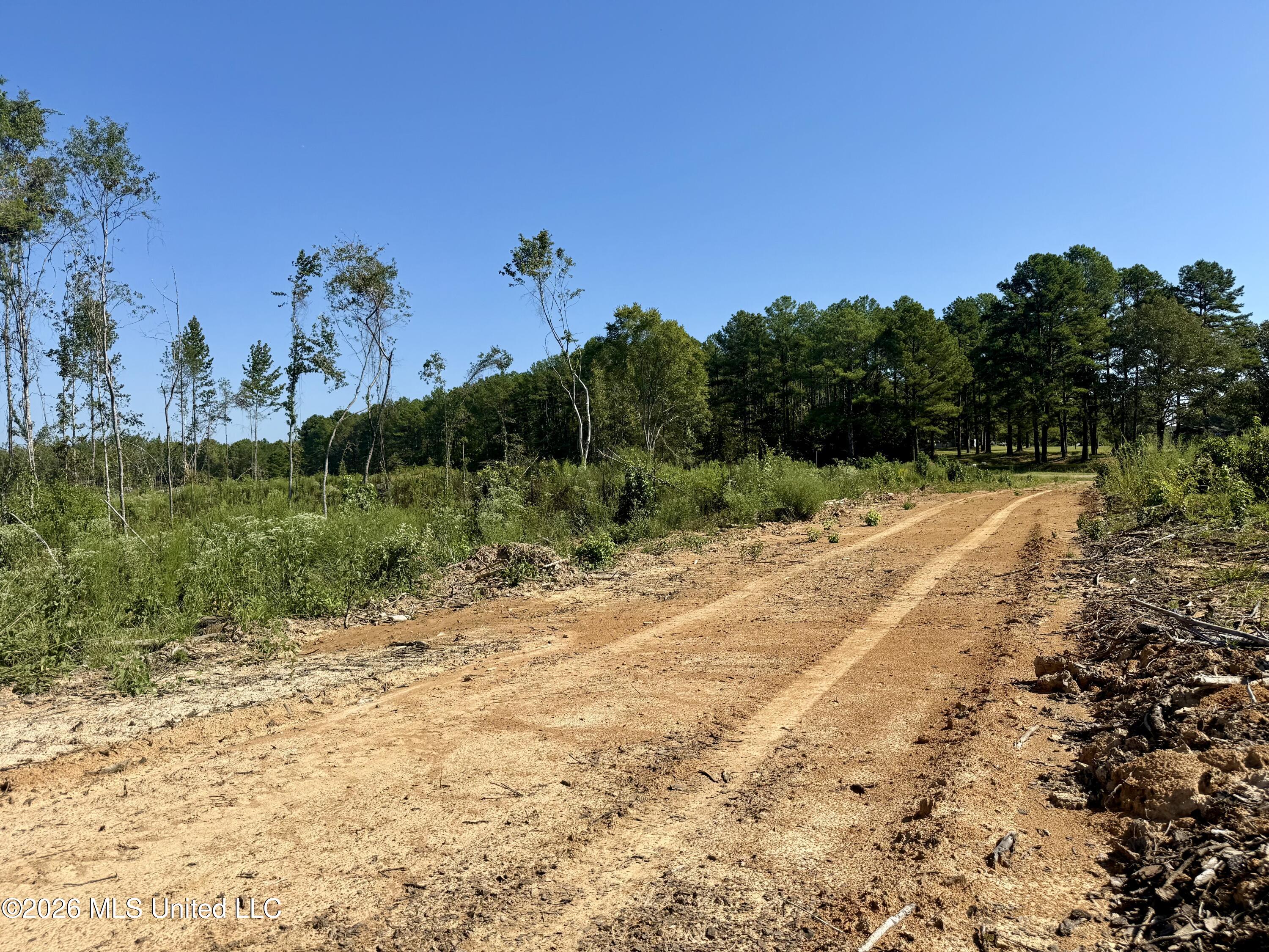 Cauthen Road Property Photo 15