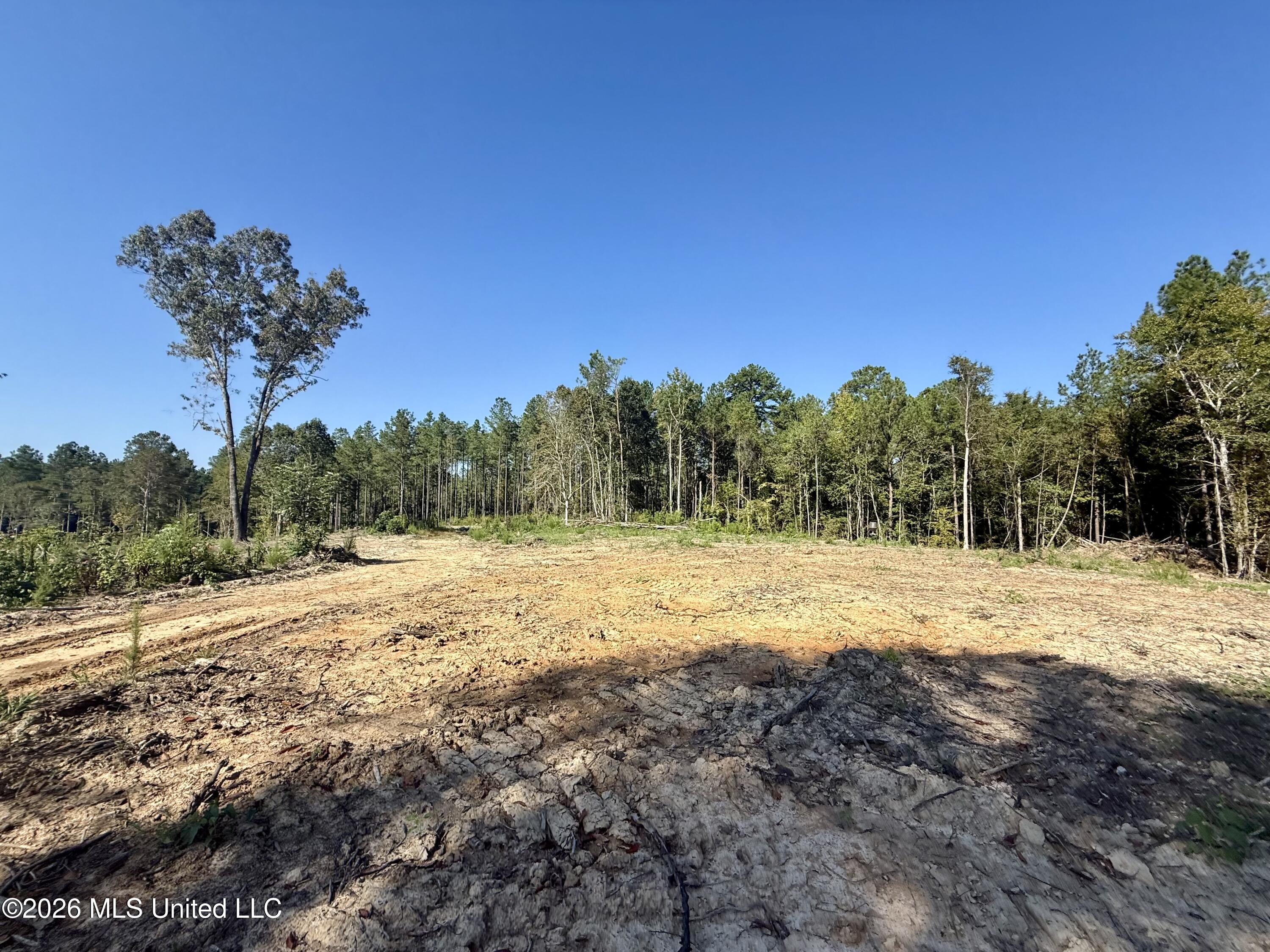 Cauthen Road Property Photo 18