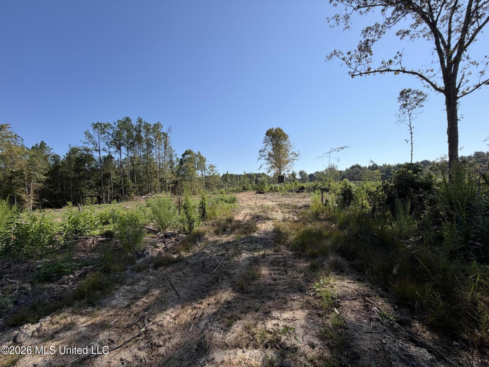 Cauthen Road Property Photo 19