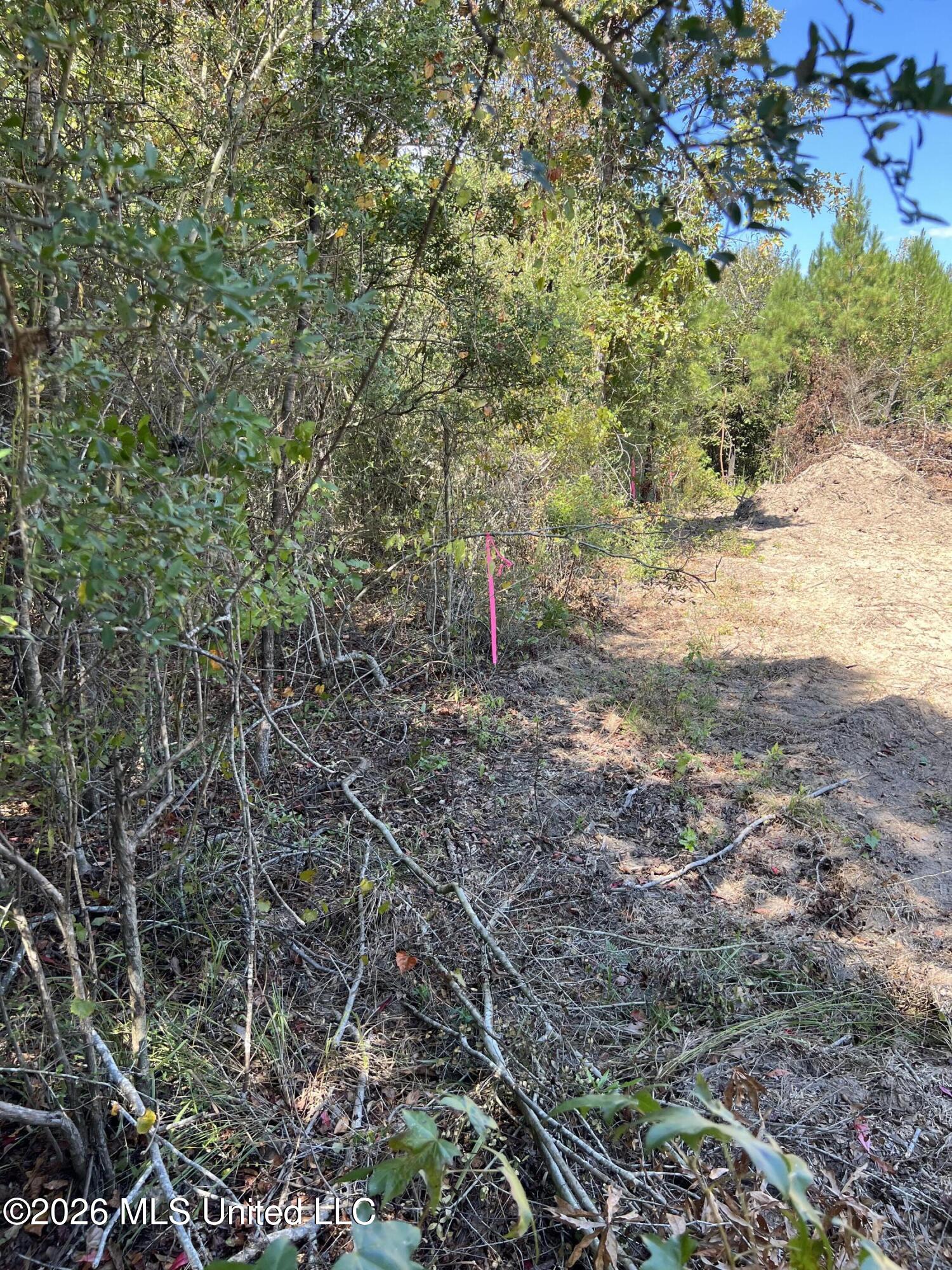 Matthews Road Property Photo 3