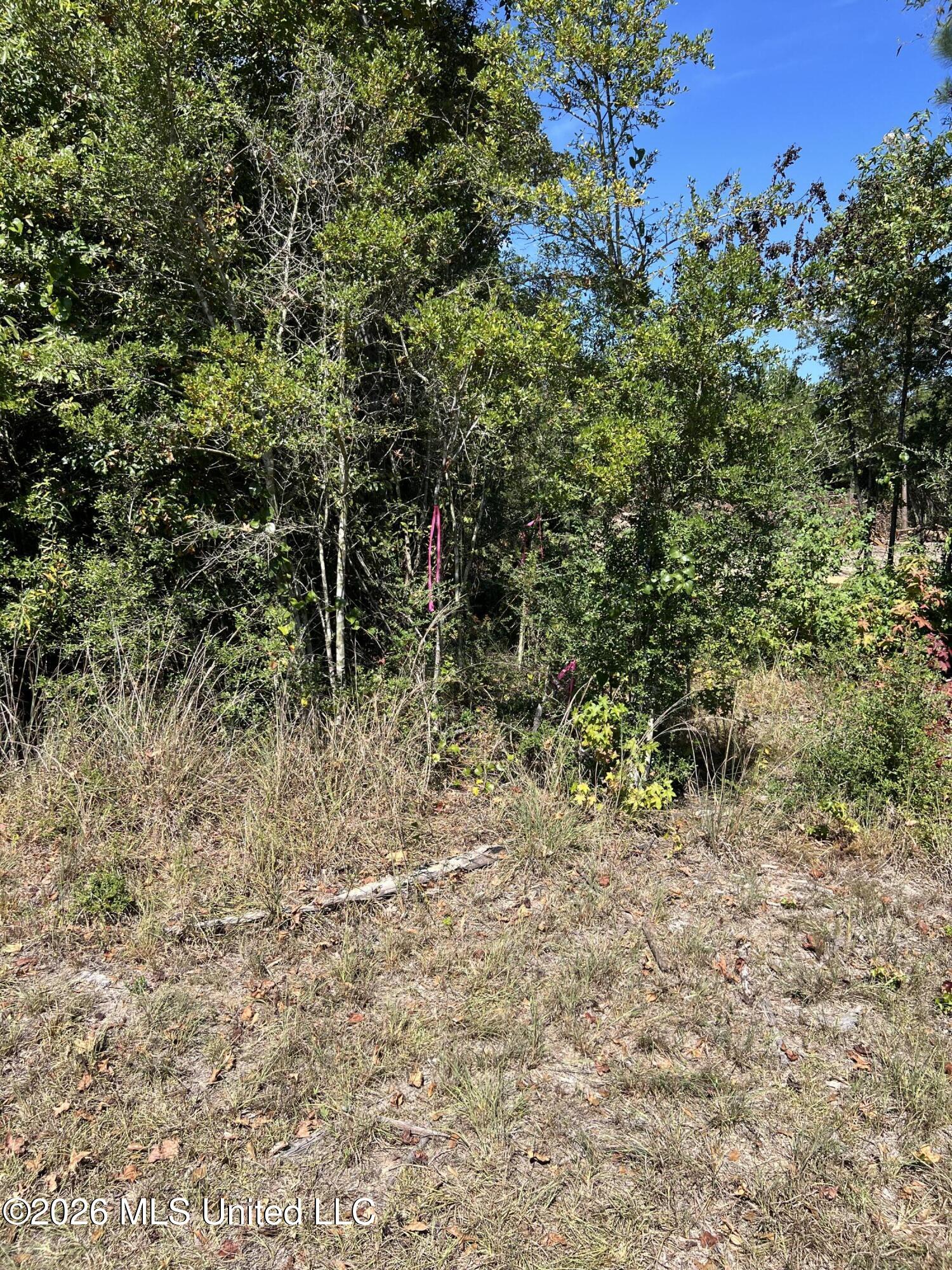 Matthews Road Property Photo 4