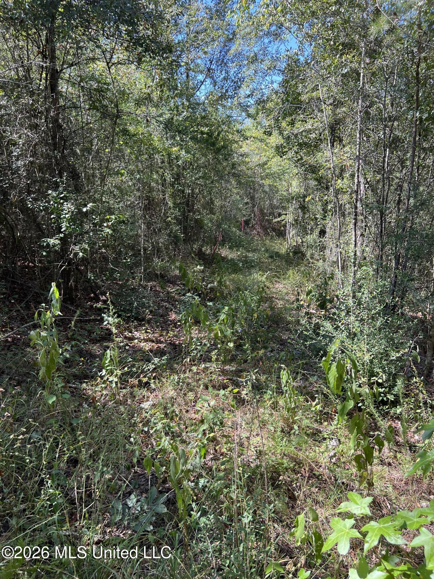 Matthews Road Property Photo 6