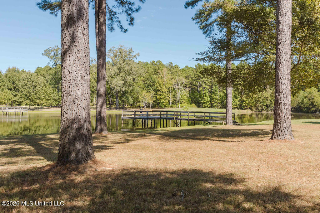 113 Blackberry Creek Road Property Photo 5