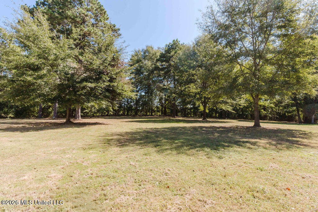 113 Blackberry Creek Road Property Photo 63